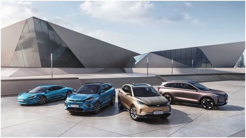 威馬汽車2019年產品服務雙升級，汽車租賃服務引領新增長